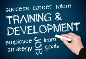 Leap To Success the Training company can help improve your skillsets