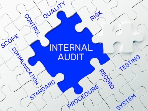 Internal Auditing Training Course - Leap To Success